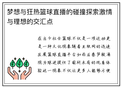 梦想与狂热篮球直播的碰撞探索激情与理想的交汇点