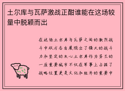 土尔库与瓦萨激战正酣谁能在这场较量中脱颖而出