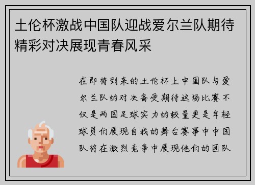 土伦杯激战中国队迎战爱尔兰队期待精彩对决展现青春风采