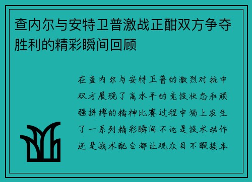查内尔与安特卫普激战正酣双方争夺胜利的精彩瞬间回顾