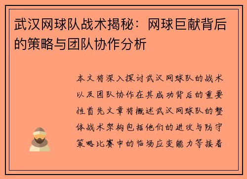武汉网球队战术揭秘：网球巨献背后的策略与团队协作分析